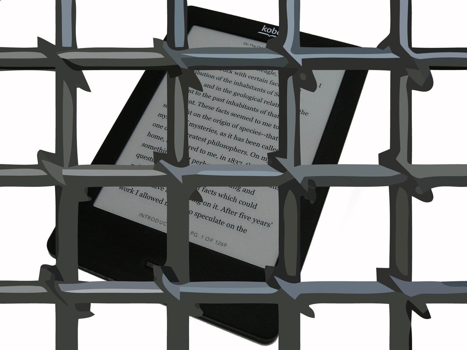 How to Borrow Ebooks Free With a Library Card