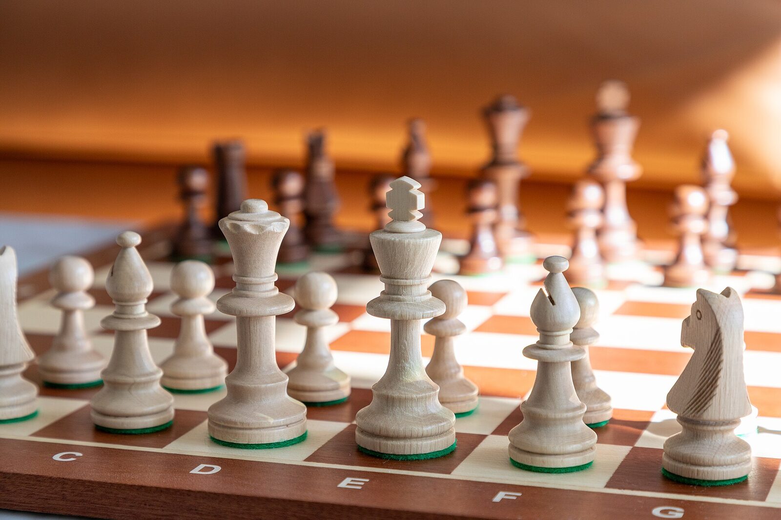 Where to Play Ludo and Dominoes Online Free